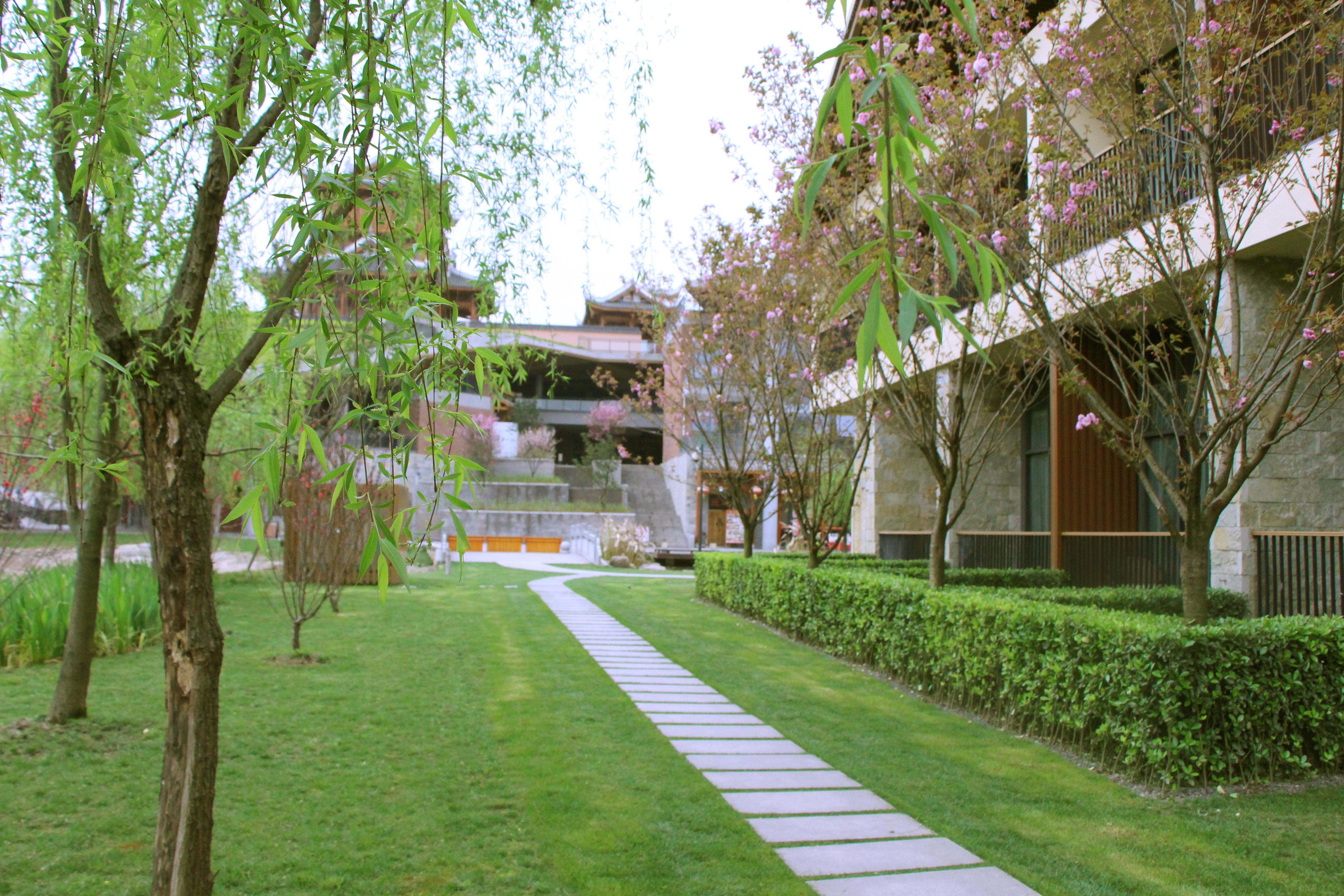 Holiday Inn Express Emei Mountain By Ihg Ъмейшан Екстериор снимка